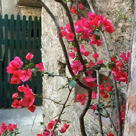 Casa Di Pruno Dom wakacyjny *